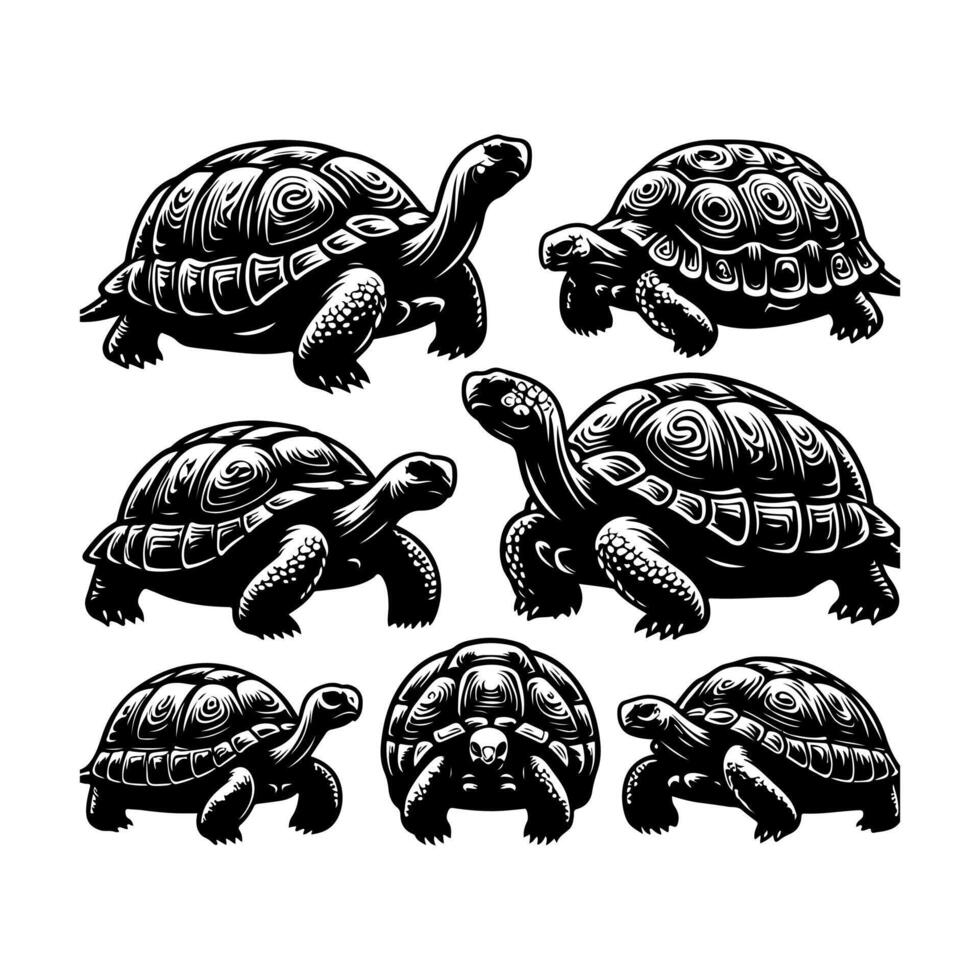 Turtle icon Set of turtle logo illustration vector