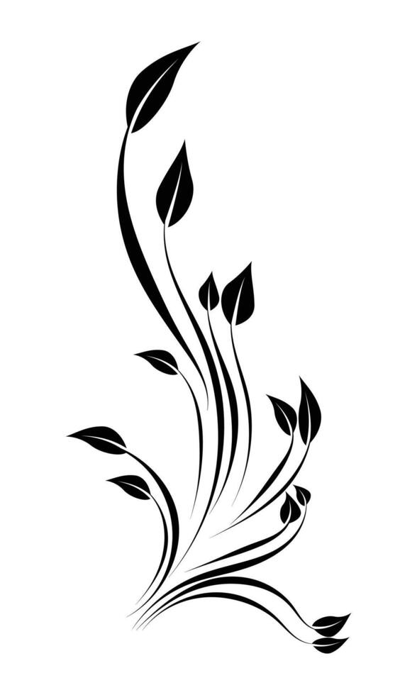 Hand drawn black scroll leaf illustration vector