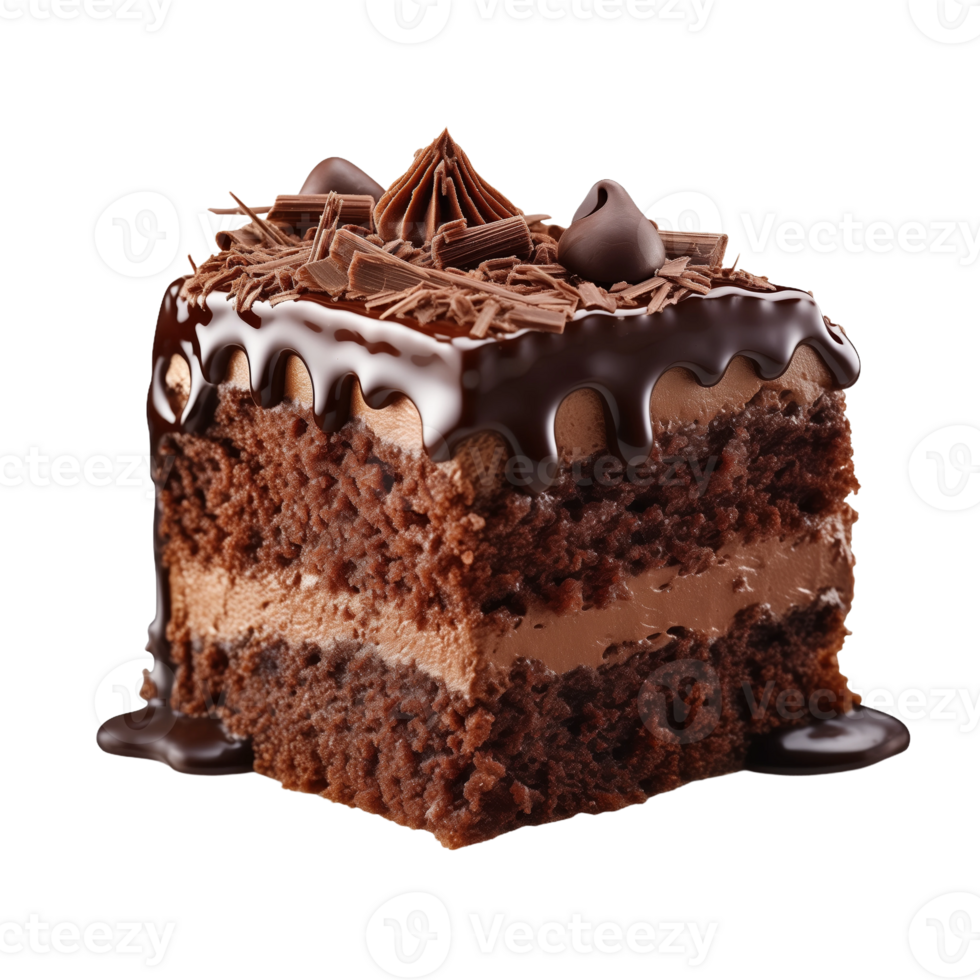 Close up of a chocolate cake with chocolate frosting and chocolate chips. png