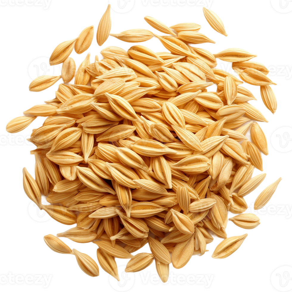 Pile of hulled barley grains, a healthy and nutritious cereal. png