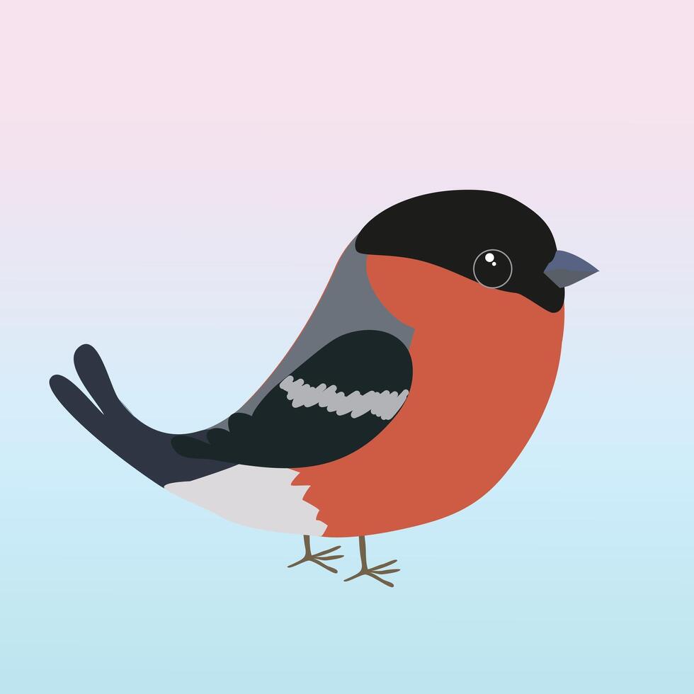 Cute Eurasian bullfinch bird illustration. The background is soft blue pink gradient vector