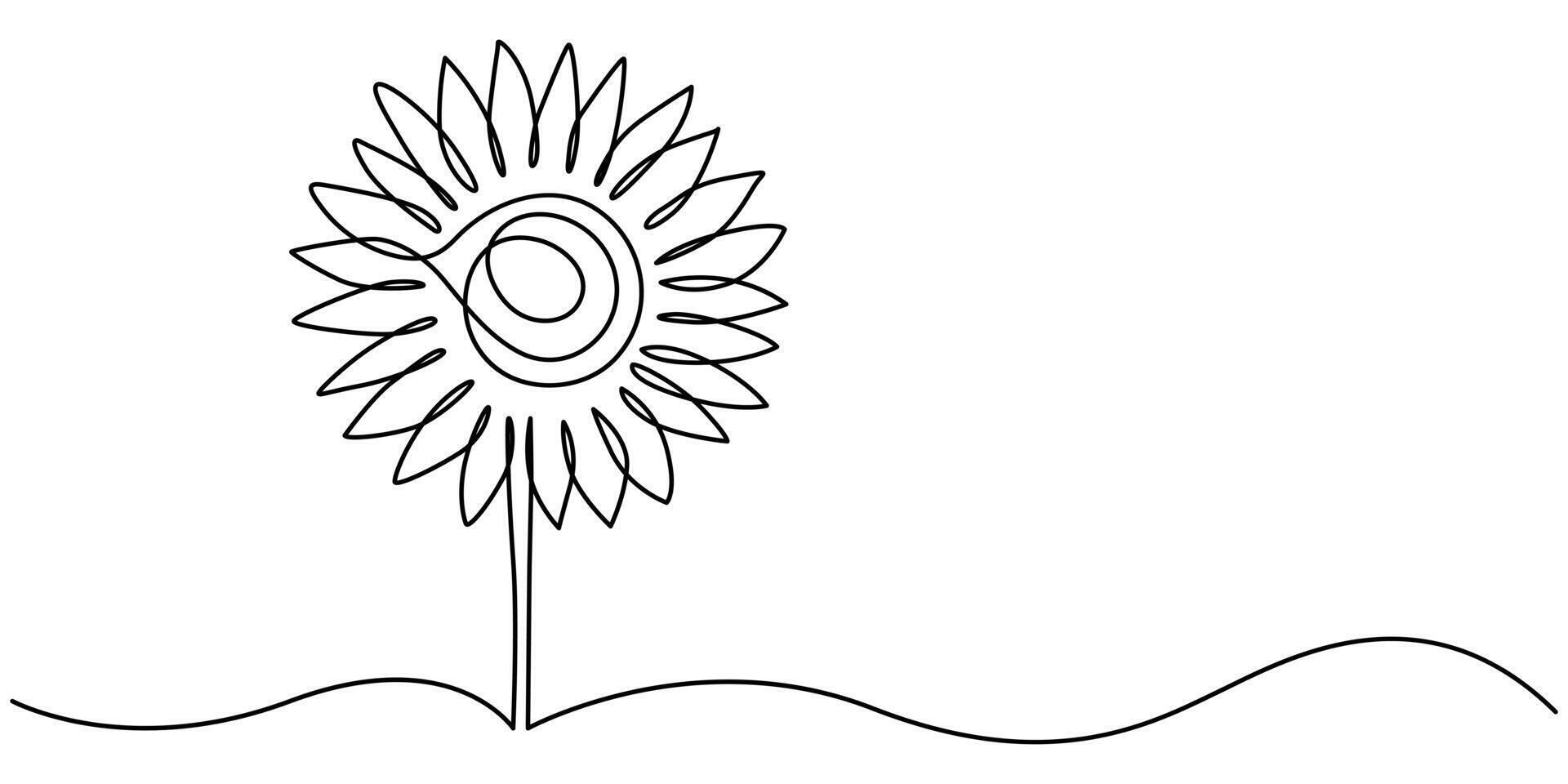 One line art drawing of sunflower vector