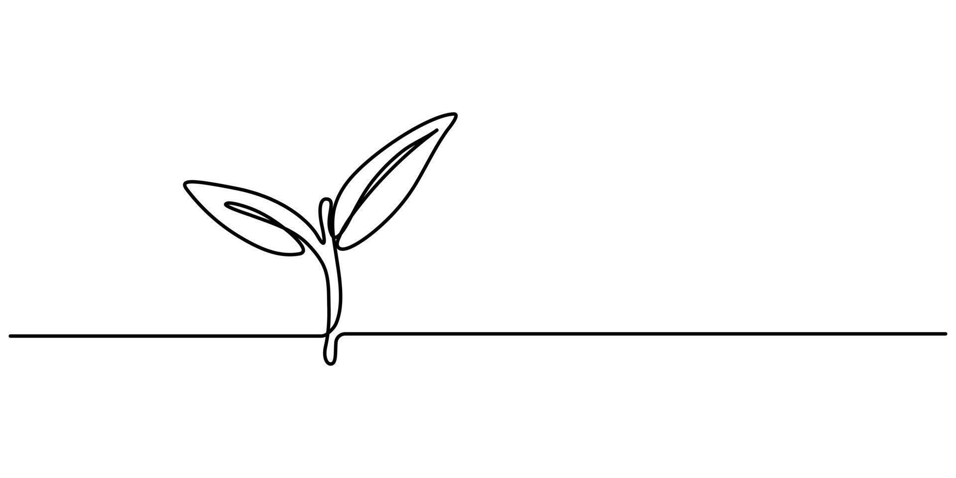 Oregano leaves continuous line drawing vector