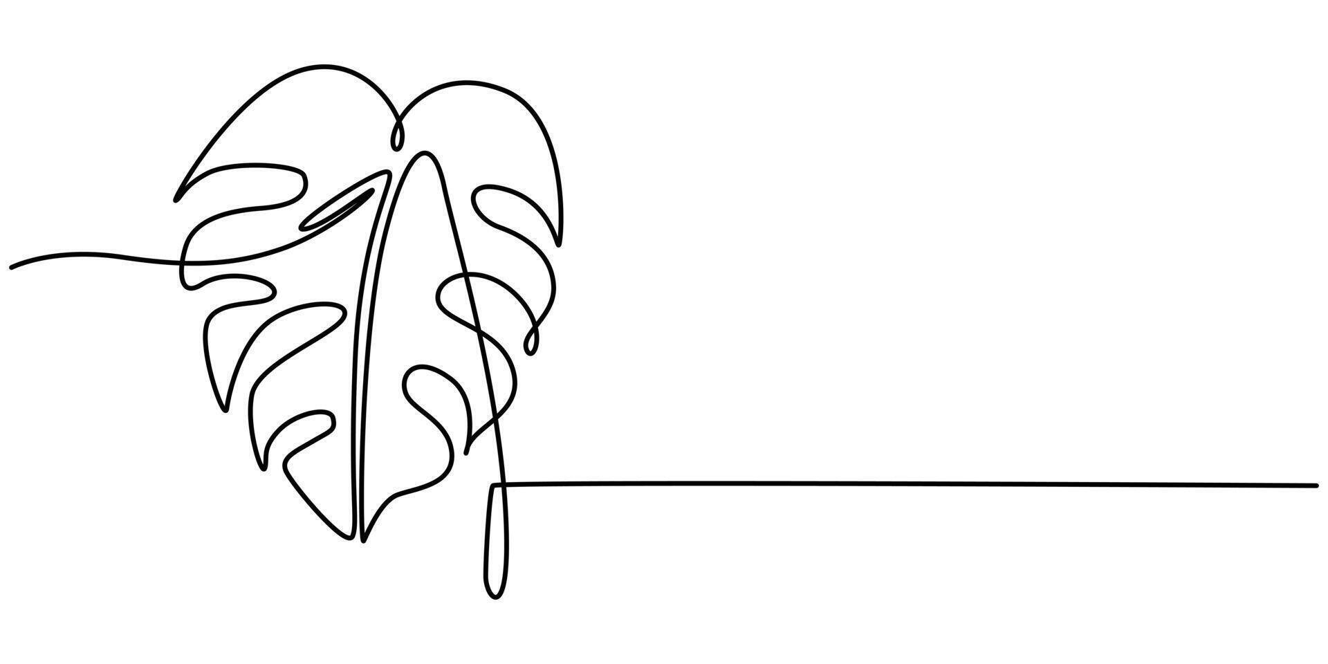 Continuous Line Drawing of Monstera Esqueleto Leaf with Editable Stroke vector