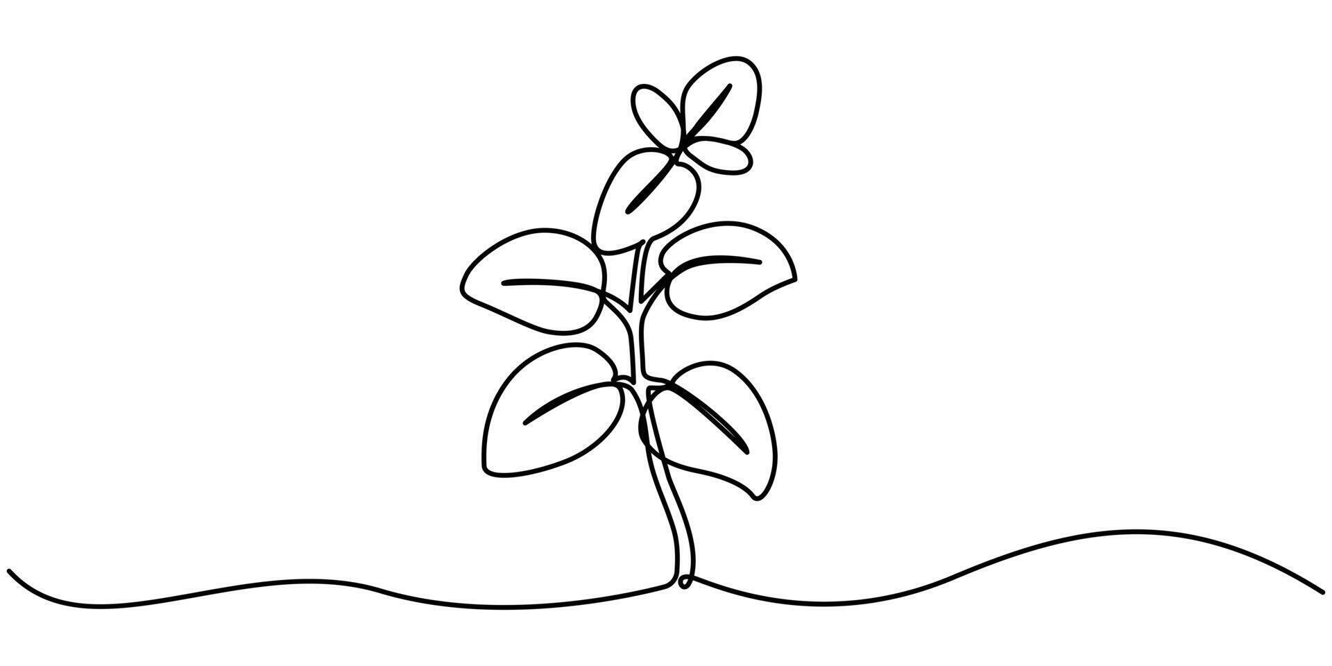 Oregano leaves continuous line drawing vector