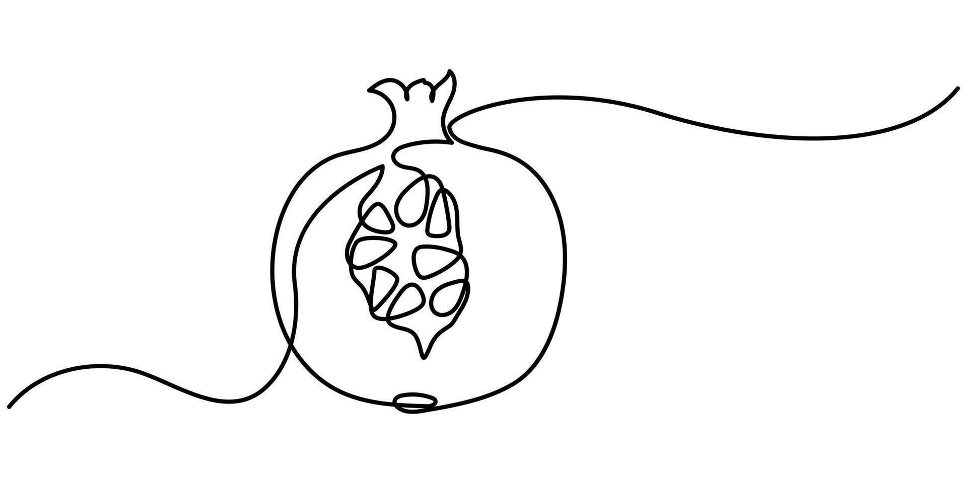Pomegranate in Continuous single one line drawing vector