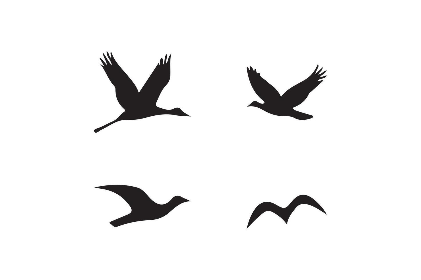 Bird flying silhouette art illustration on white background vector