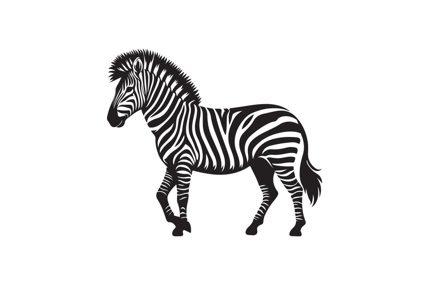 Zebra silhouette art illustration on white background vector