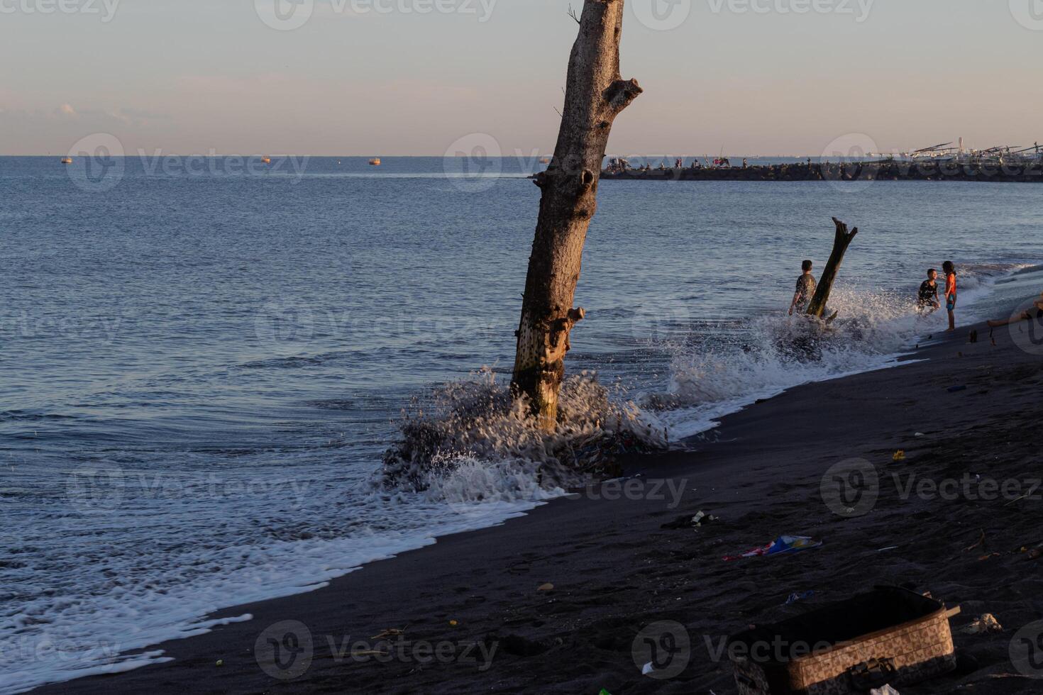 dead tree blown by waves on the beach photo