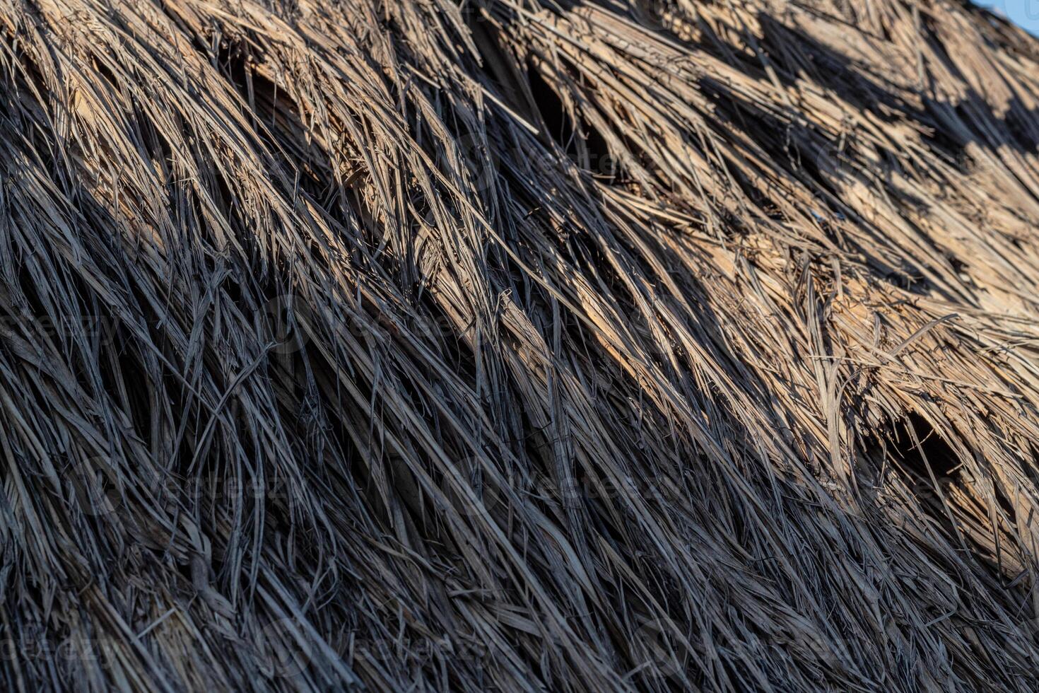 The roof texture is made of woven straw photo
