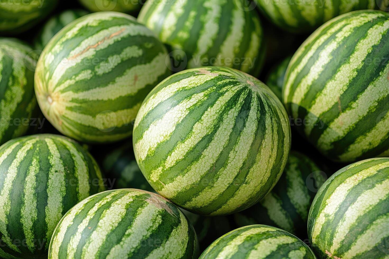 Freshly picked watermelons forming a beautiful background photo