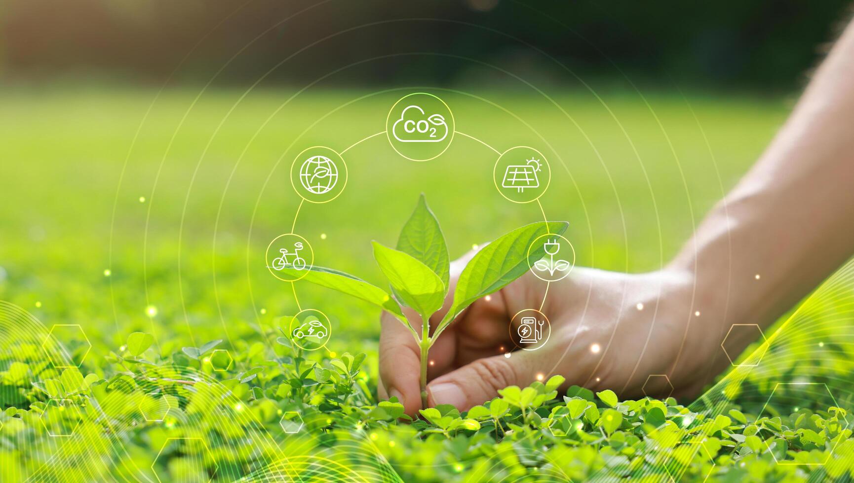 Hand holding with tree for co2, ESG and net zero. energy saving concept. save our planet, world environment day, world earth day. sustainable development and green business. photo