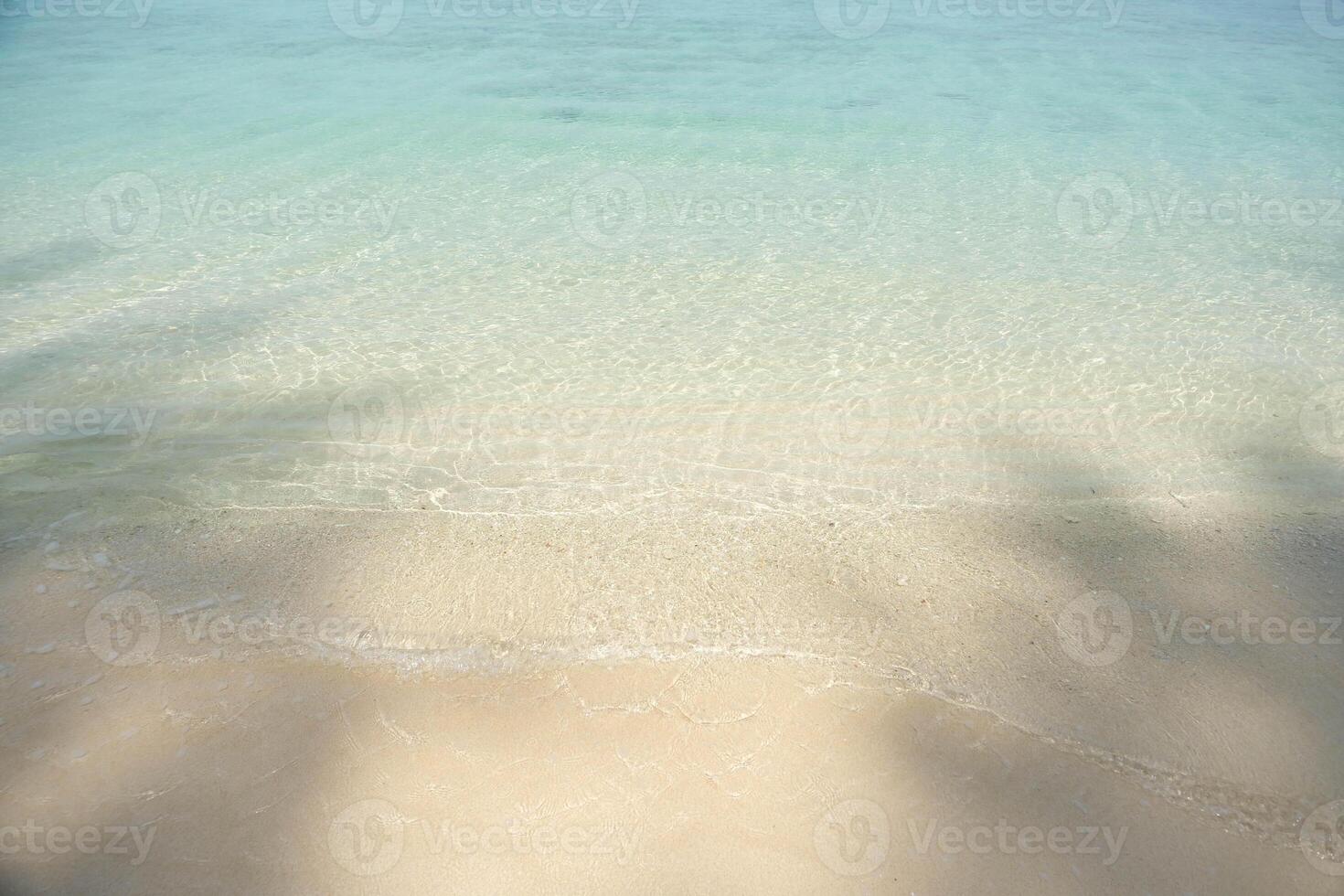 Sea wave and soft sandy with shadow of beach tree. photo