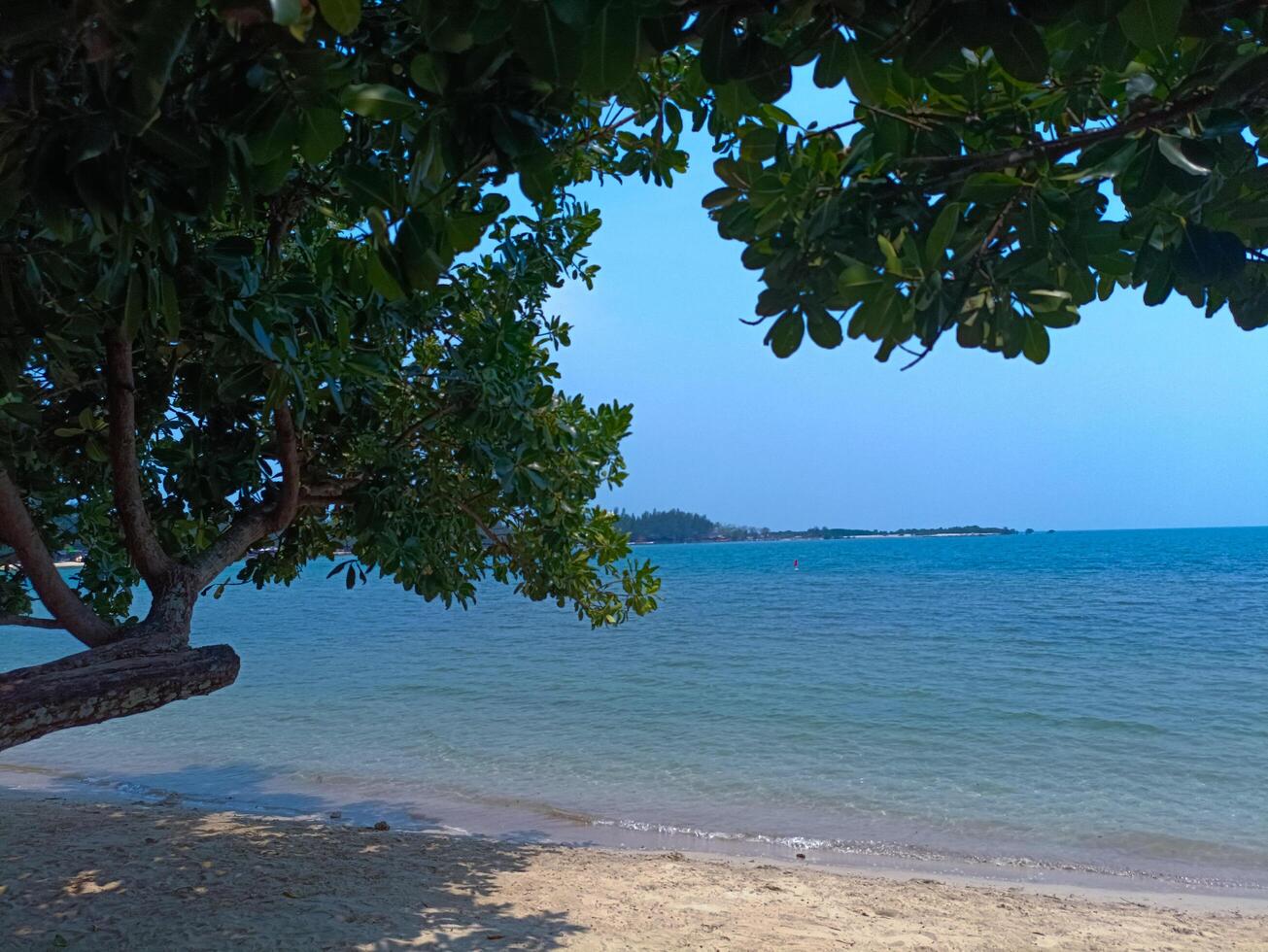 Beautiful tropical beach landscape with white sand, tree, blue wave and sunny sky. photo