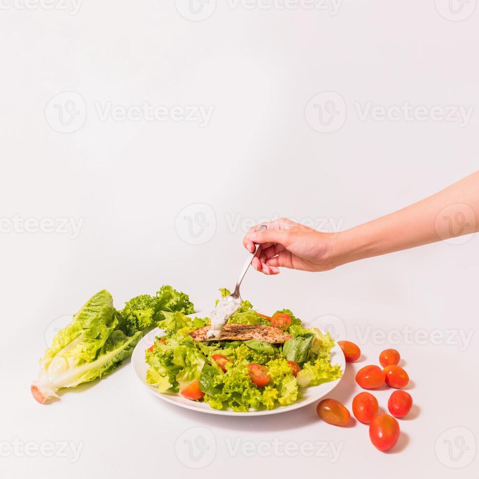Putting Sauce on Salad and Pan Fried dory photo