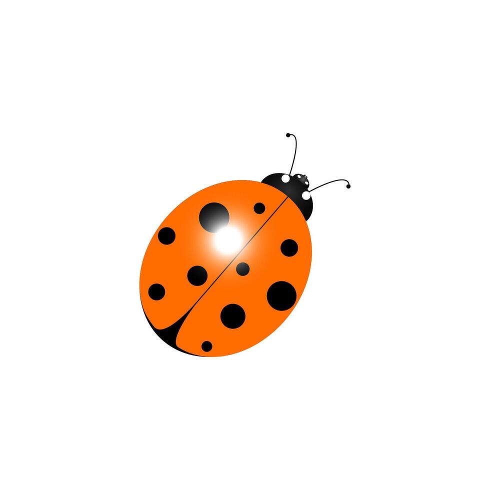 ladybug icon on white background. Isolated ladybird vector