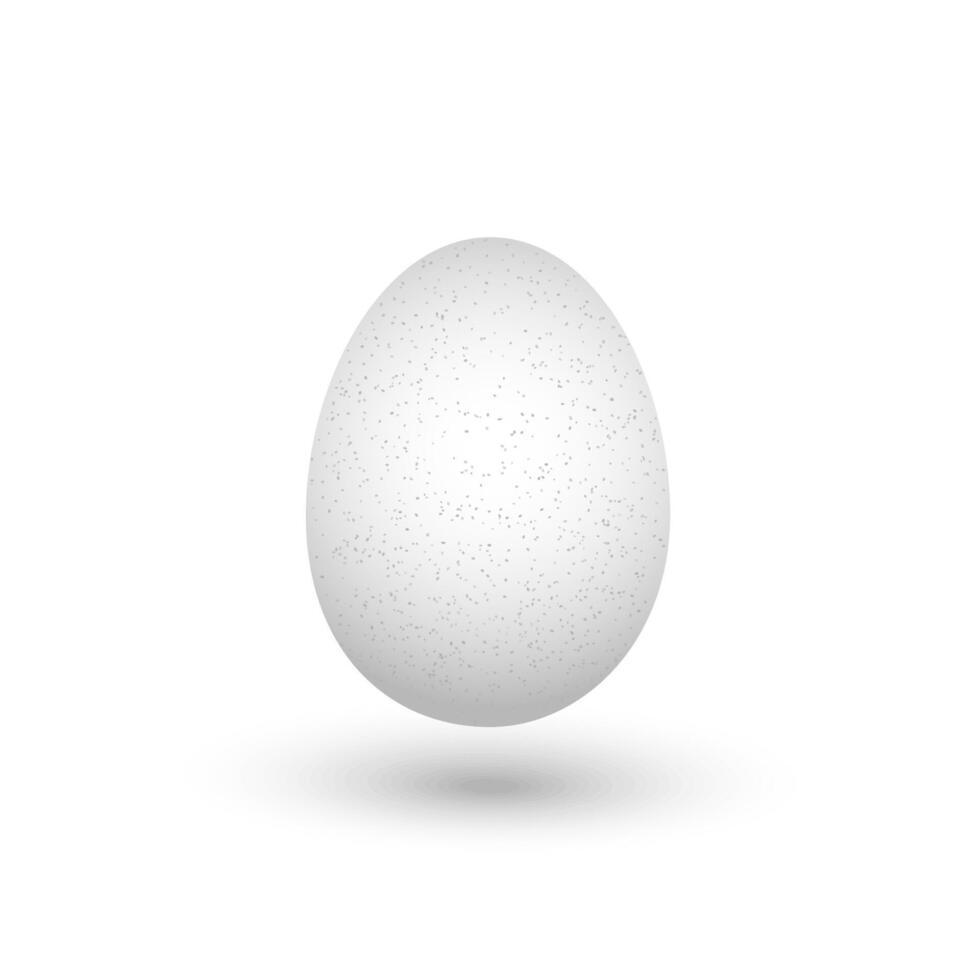 White egg isolated on white background. vector