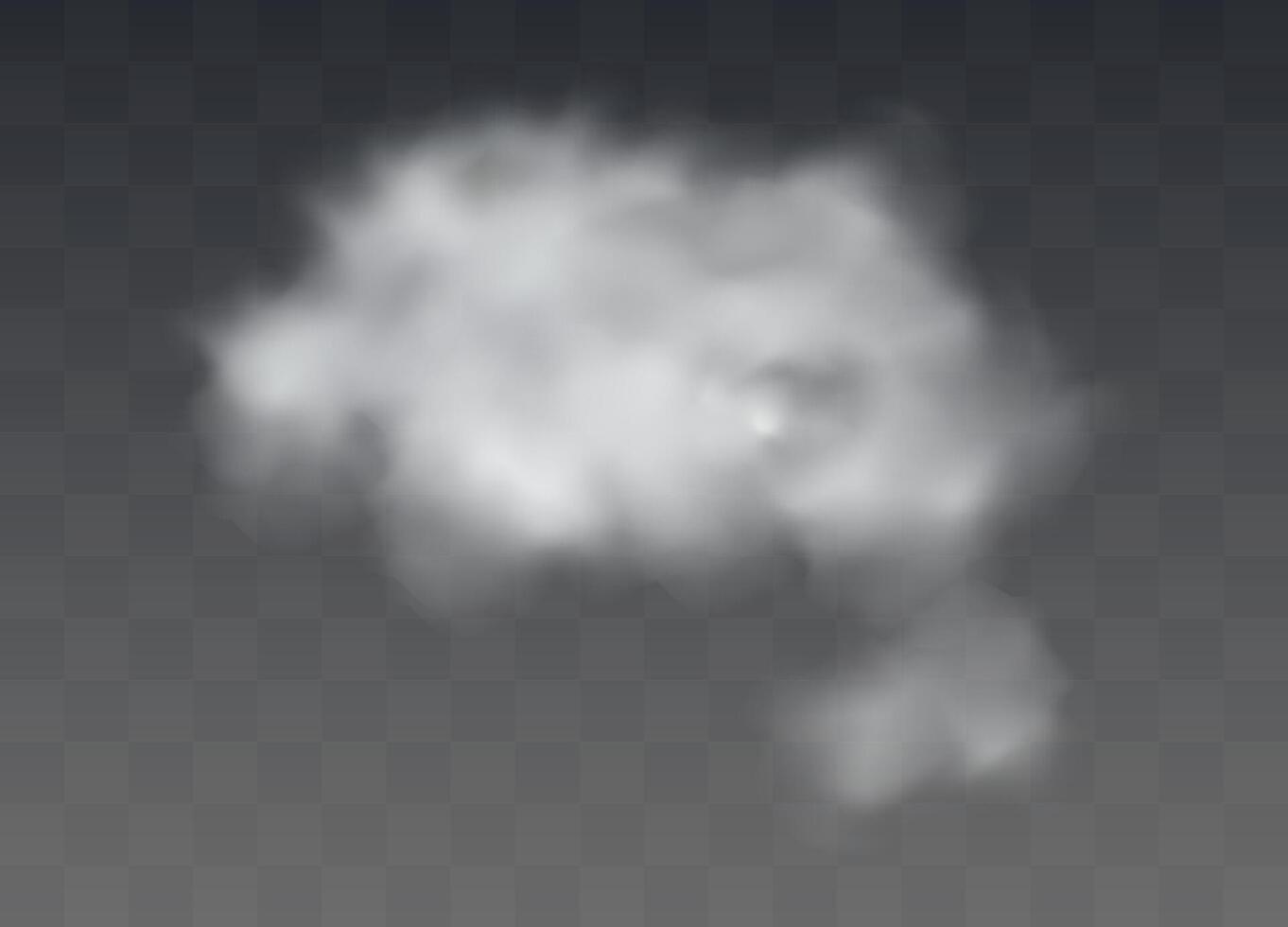 Fog or smoke isolated transparent special effect. vector