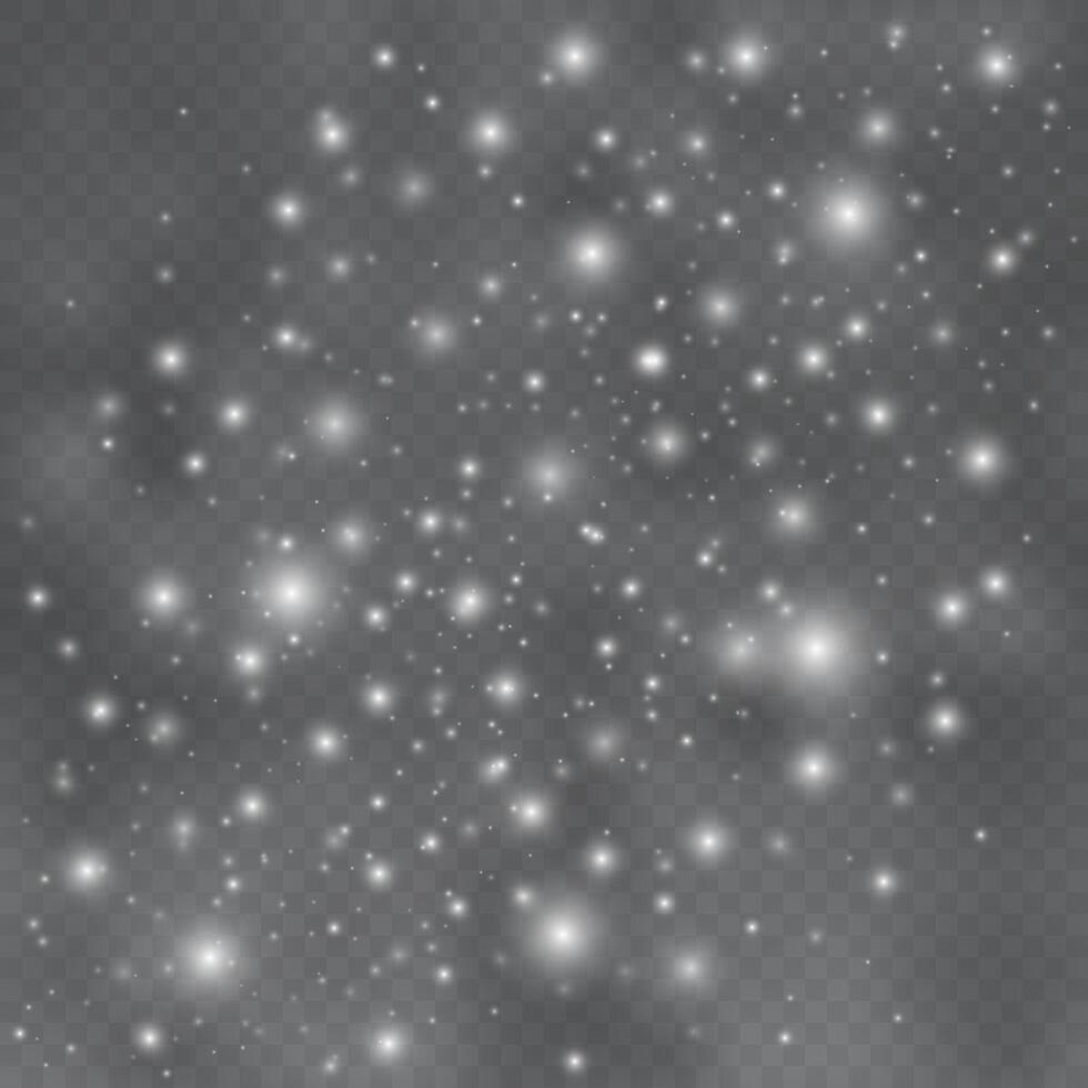 The dust sparks and golden stars shine with special light vector