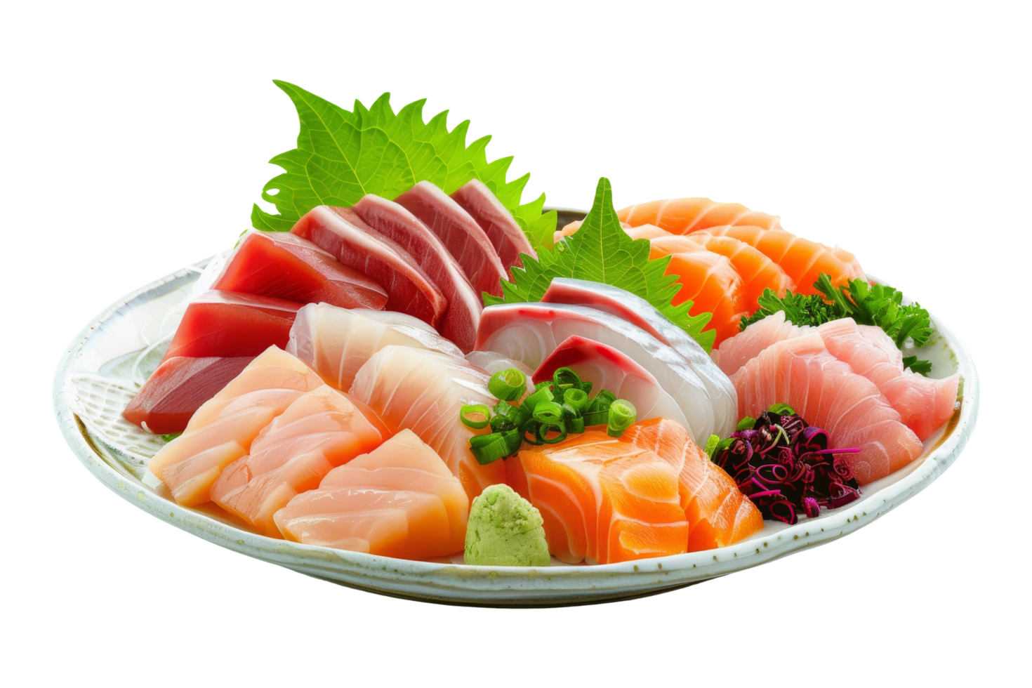 Assorted Sashimi on Plate png