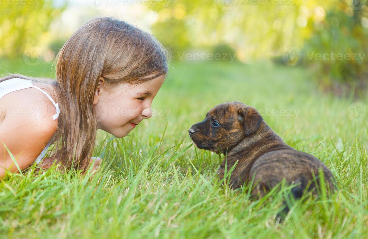 Cute little girl and dog puppy photo