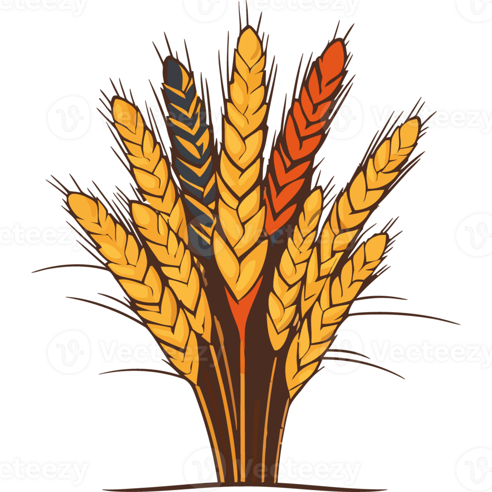 An illustration of a bunch of wheat png