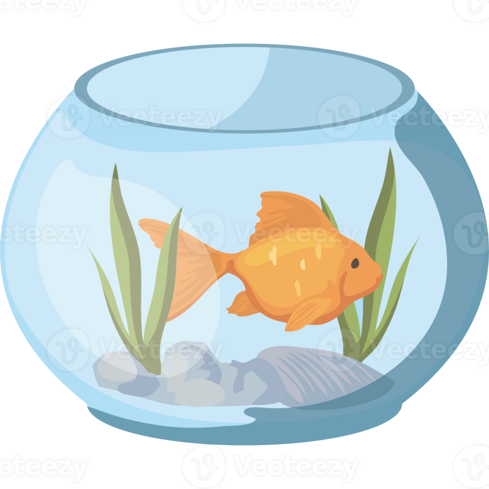 Goldfish in a fish bowl png