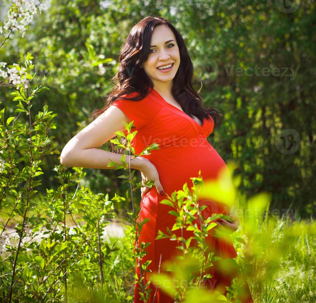 Beautiful pregnant woman in red dress in the flowering spring park photo