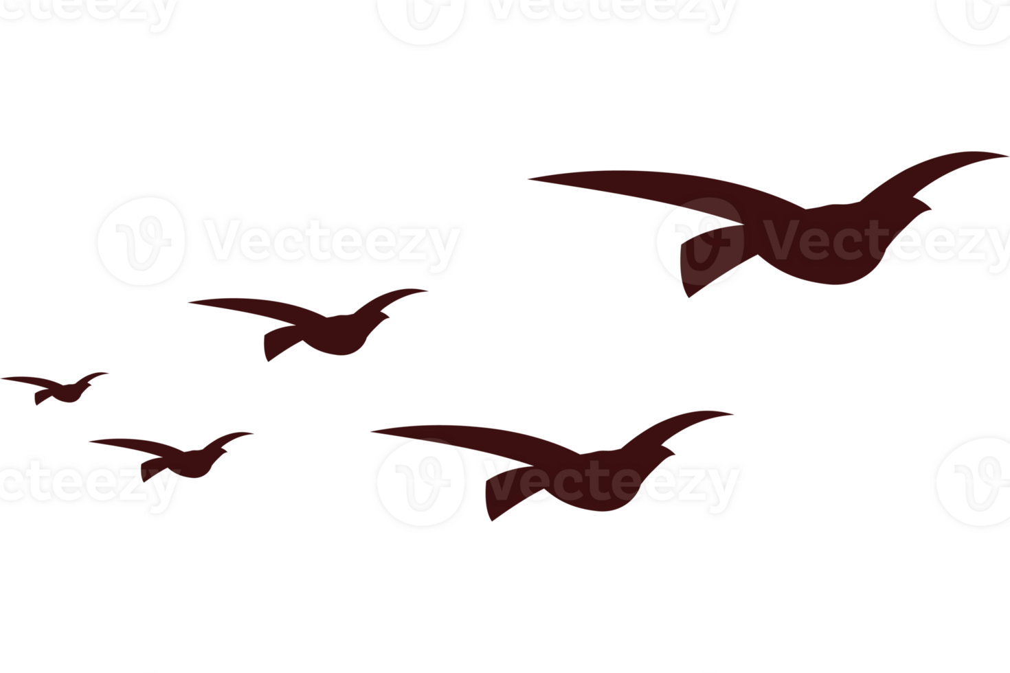 A flock of birds flying in the air png