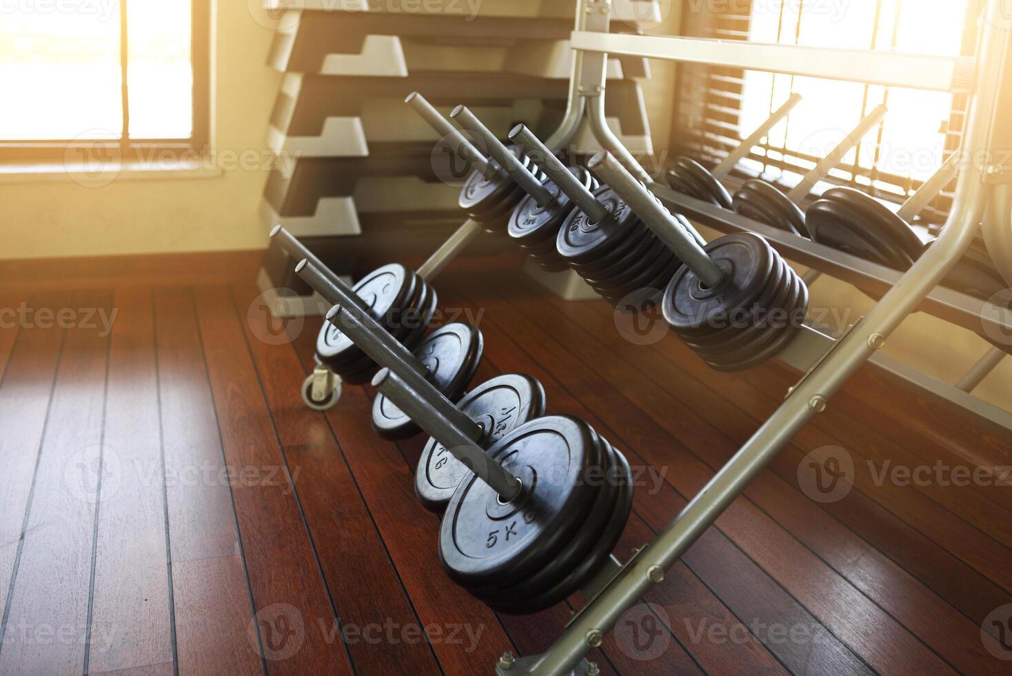 Dumbbells in modern sports club photo