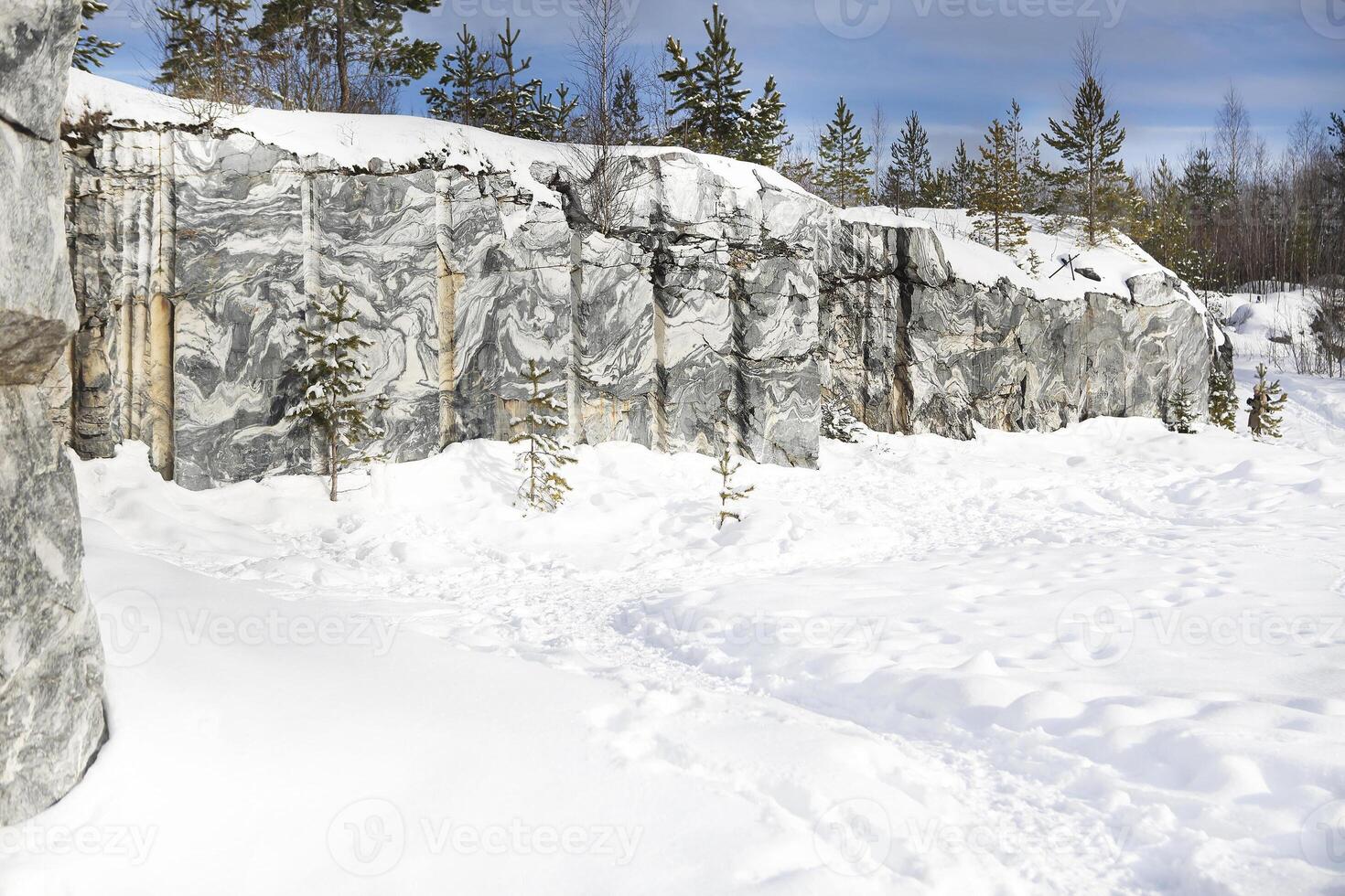 Winter landscape with snow and fir tree photo