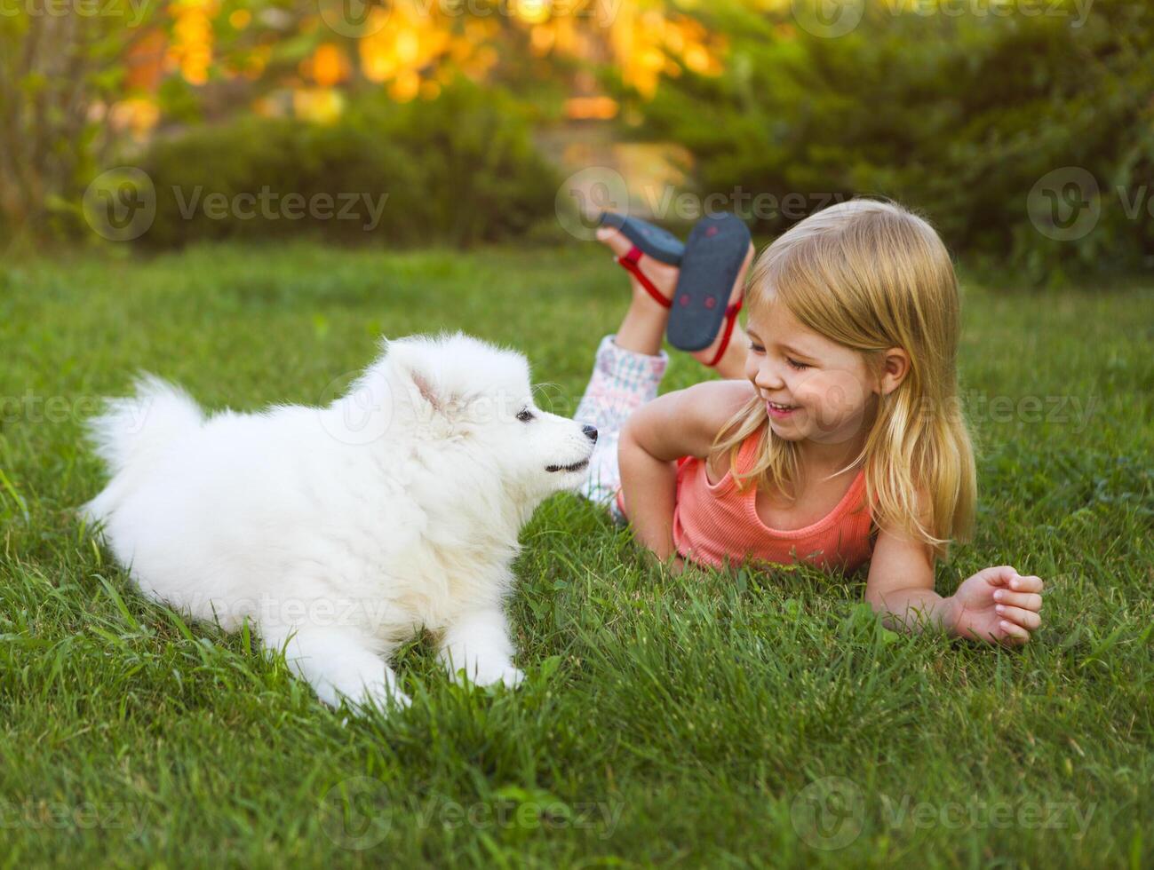 Little smiling girl playing with Samoyed puppy in the summer garden photo