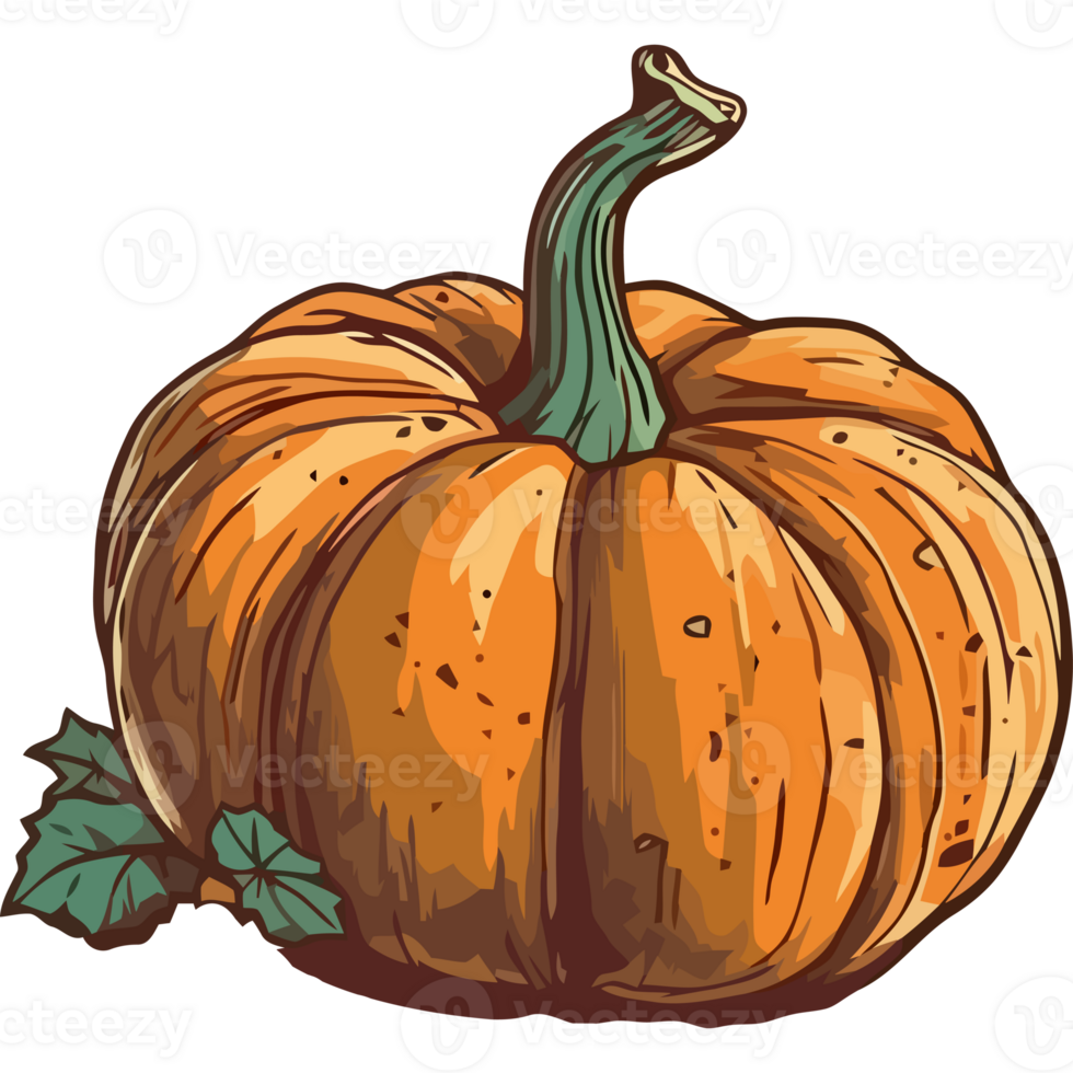 Pumpkin clip art transparent pumpkin clip art transparent pumpkin clip art transparent pumpkin clip art transparent pumpkin png