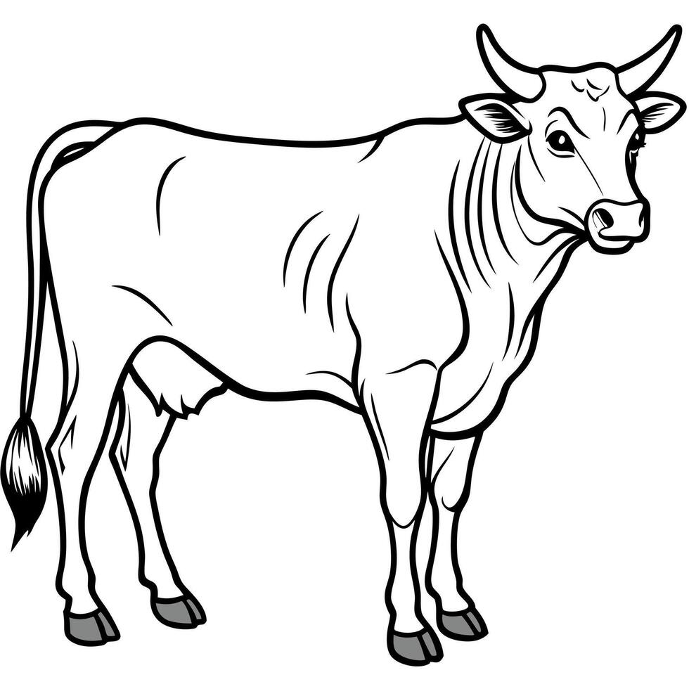 Cattle black beef cow vector