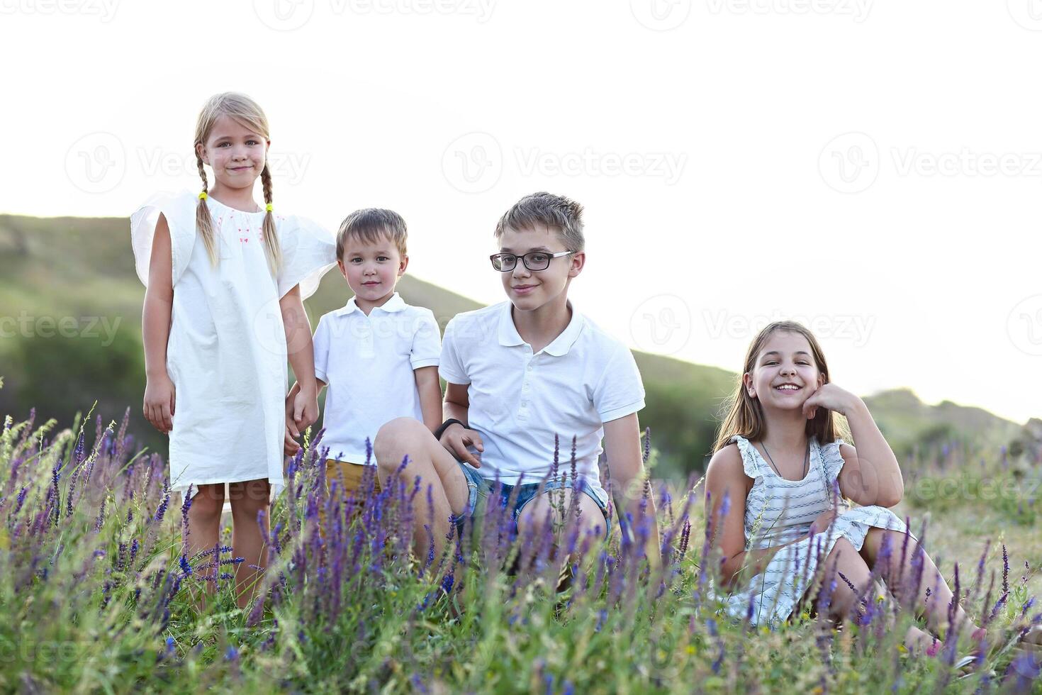 Portrait of the kids on the summer medow photo