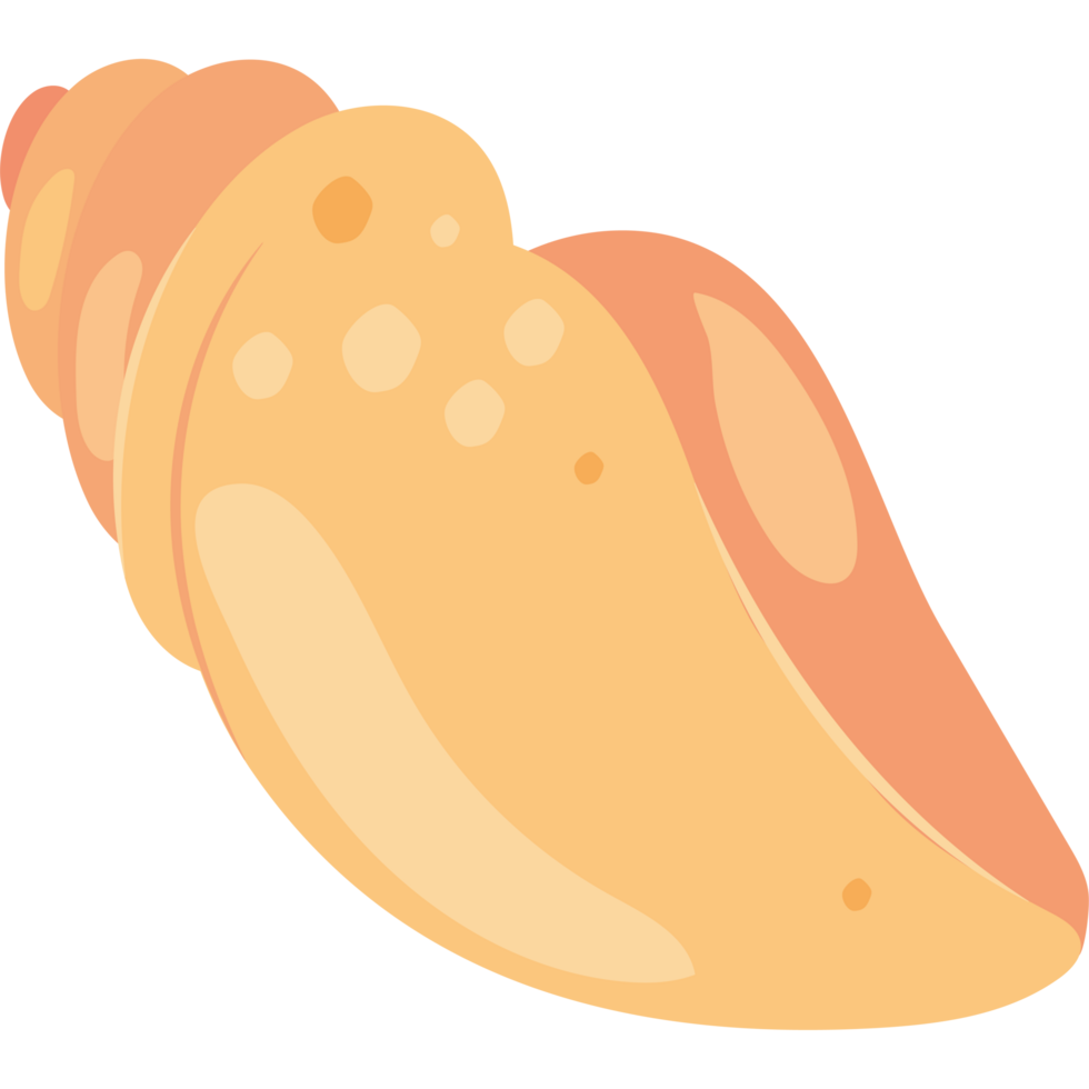 A cartoon shell with a yellow shell png