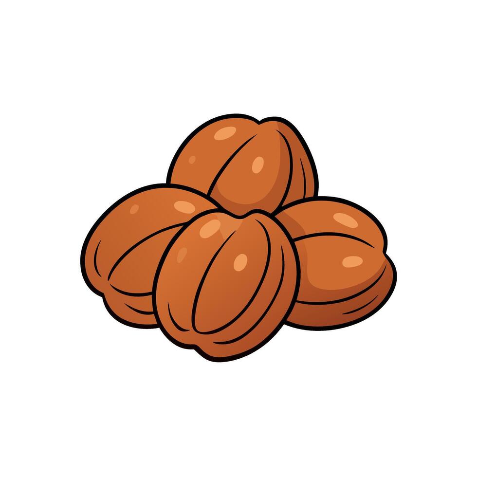 Freshly washed Kola nuts vector