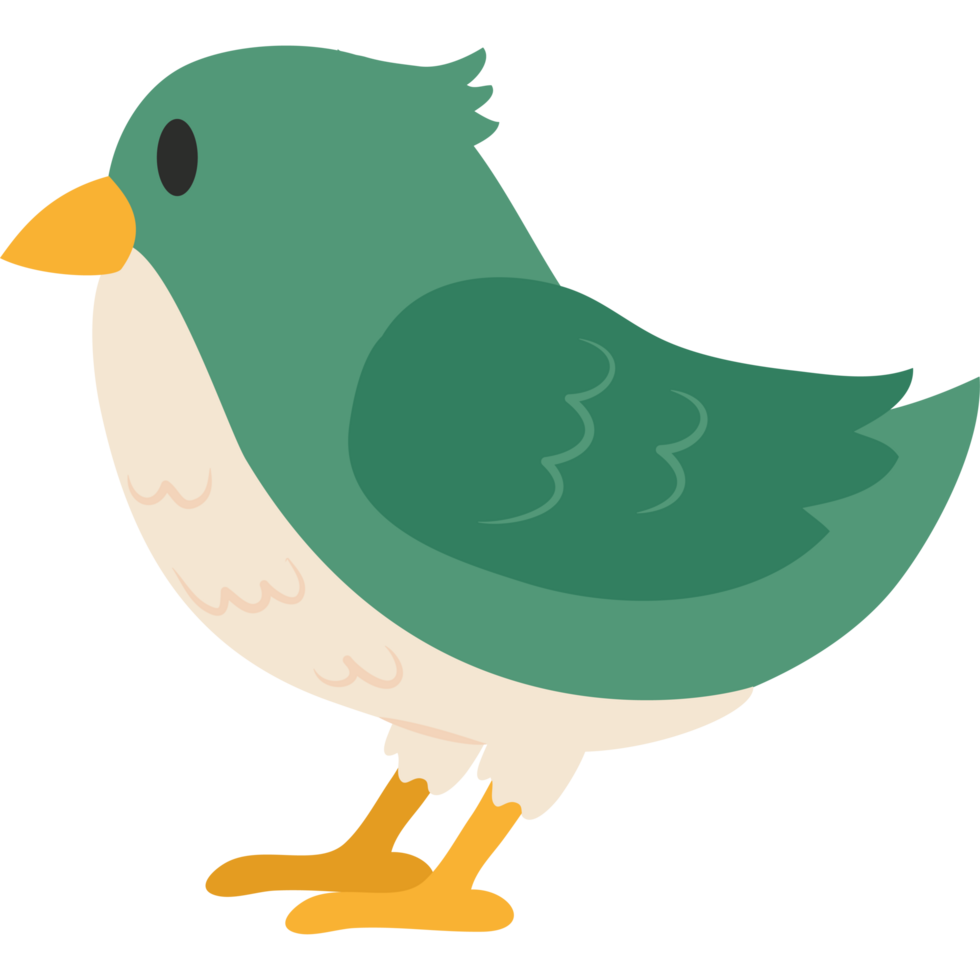 A cartoon bird with green and white feathers png
