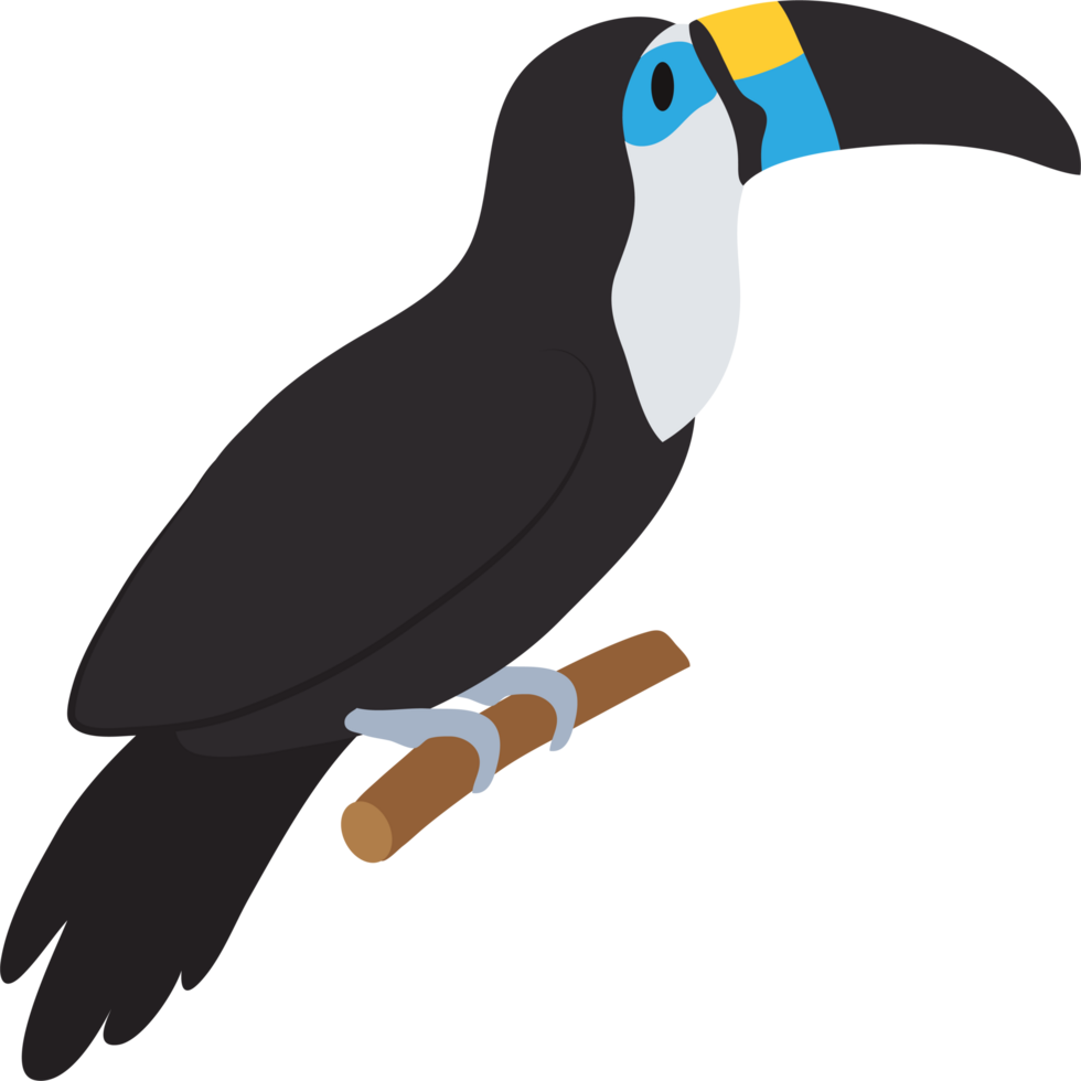 Toucan clip art png