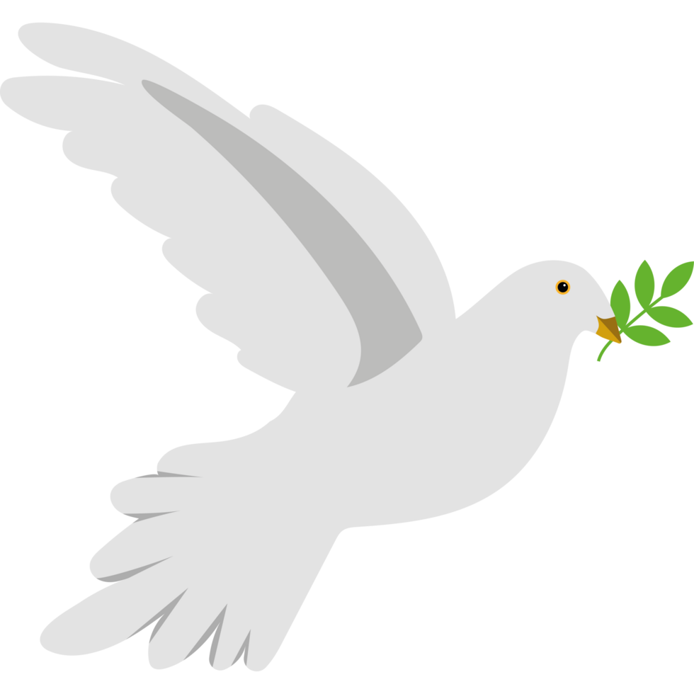 A white dove with an olive branch in its beak png