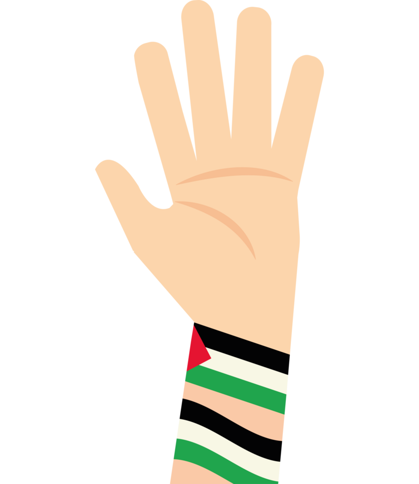 Palestine flag hand clipart png