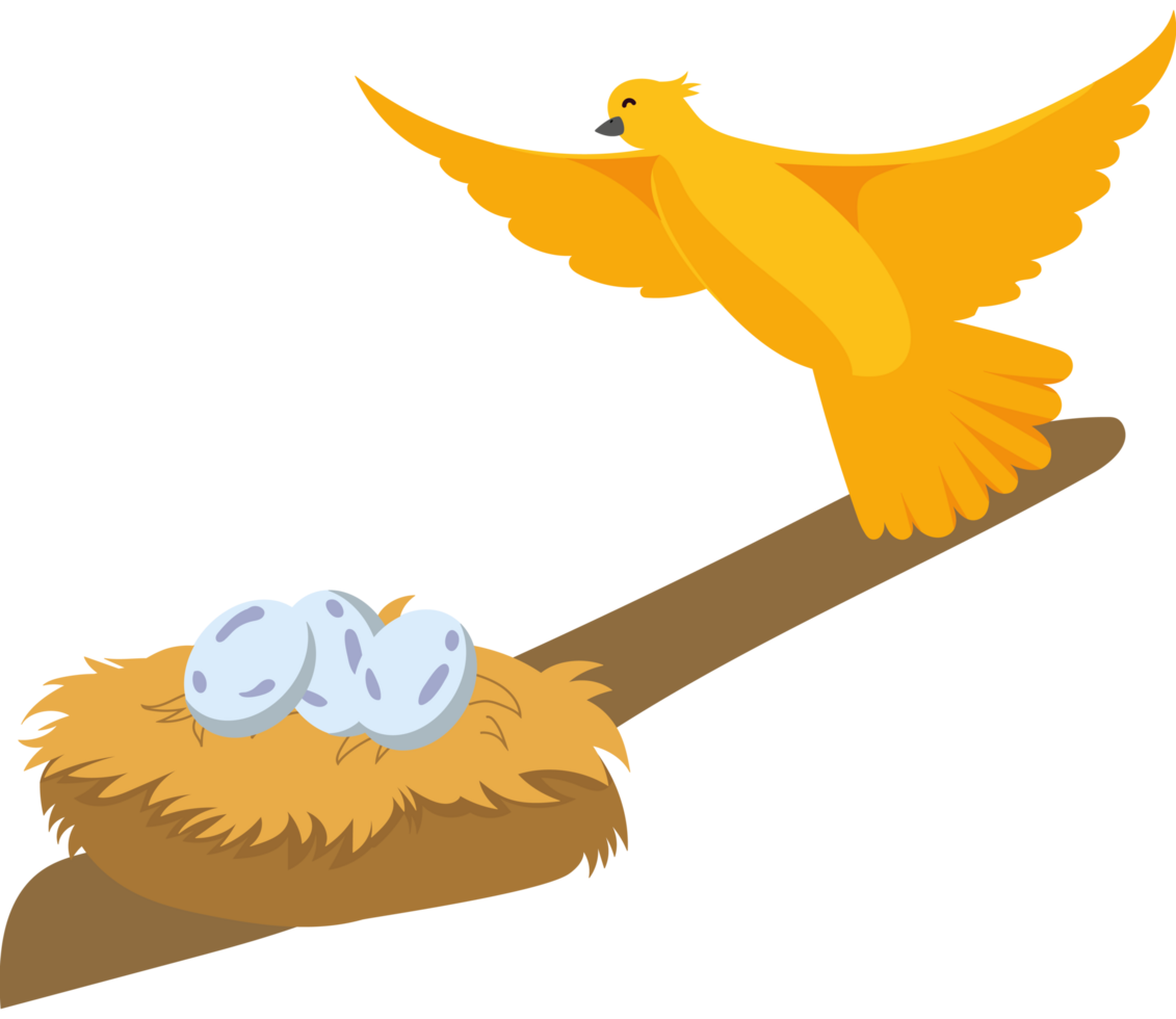 A yellow bird is sitting on top of a nest with eggs png