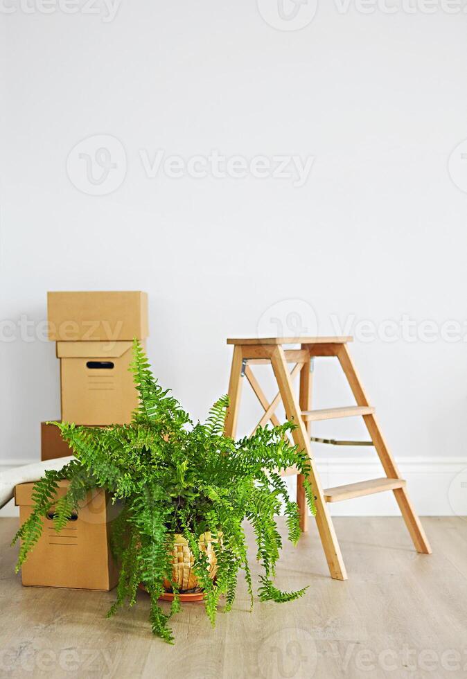 Cardboard boxes in empty new apartment photo