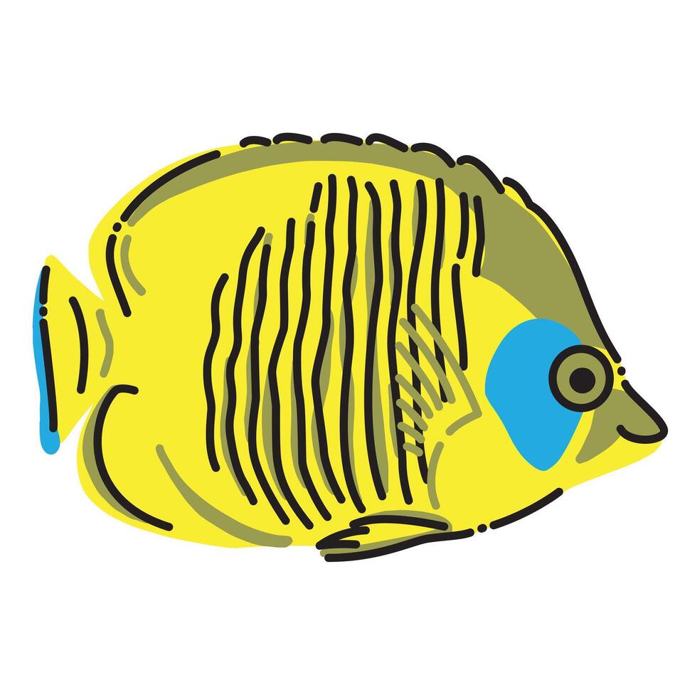 Illustration of a Semilavartus Butterfly Fish vector