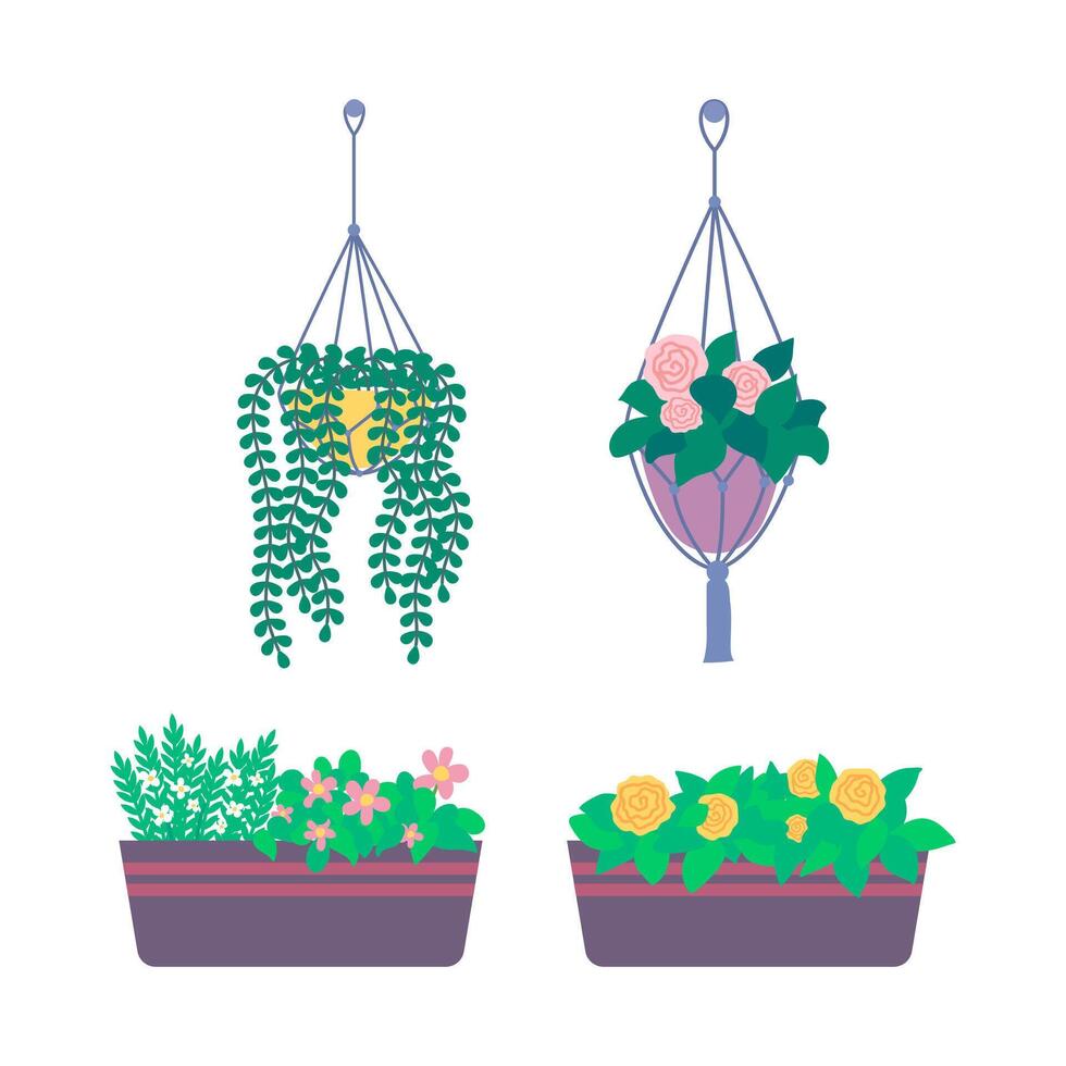 Cartoon Color Flowering Plant Hanging Pots and Boxes Set. vector