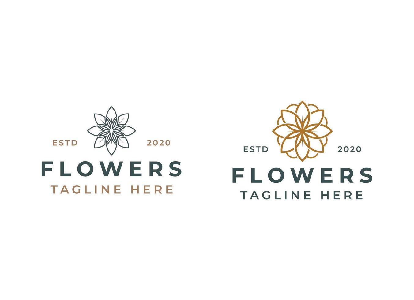 Beauty flowers and spa logo design vector