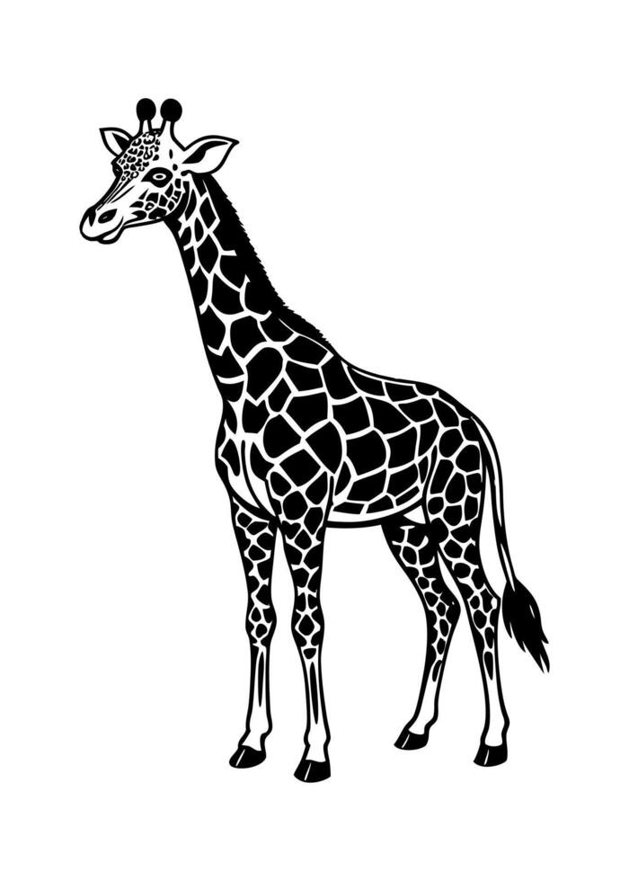 A Giraffe Silhouette vector