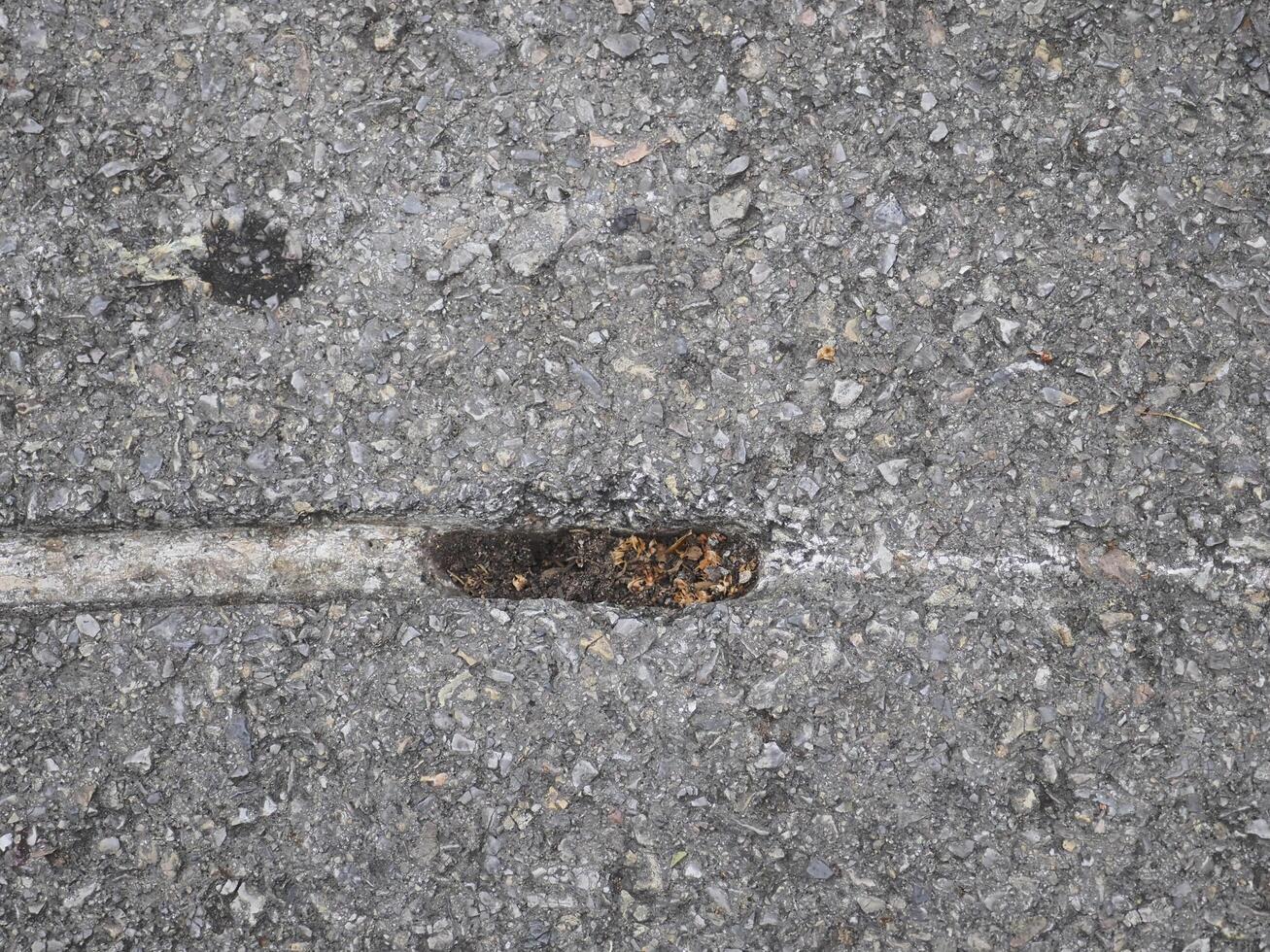 Scuff marks on the asphalt road from an accident photo