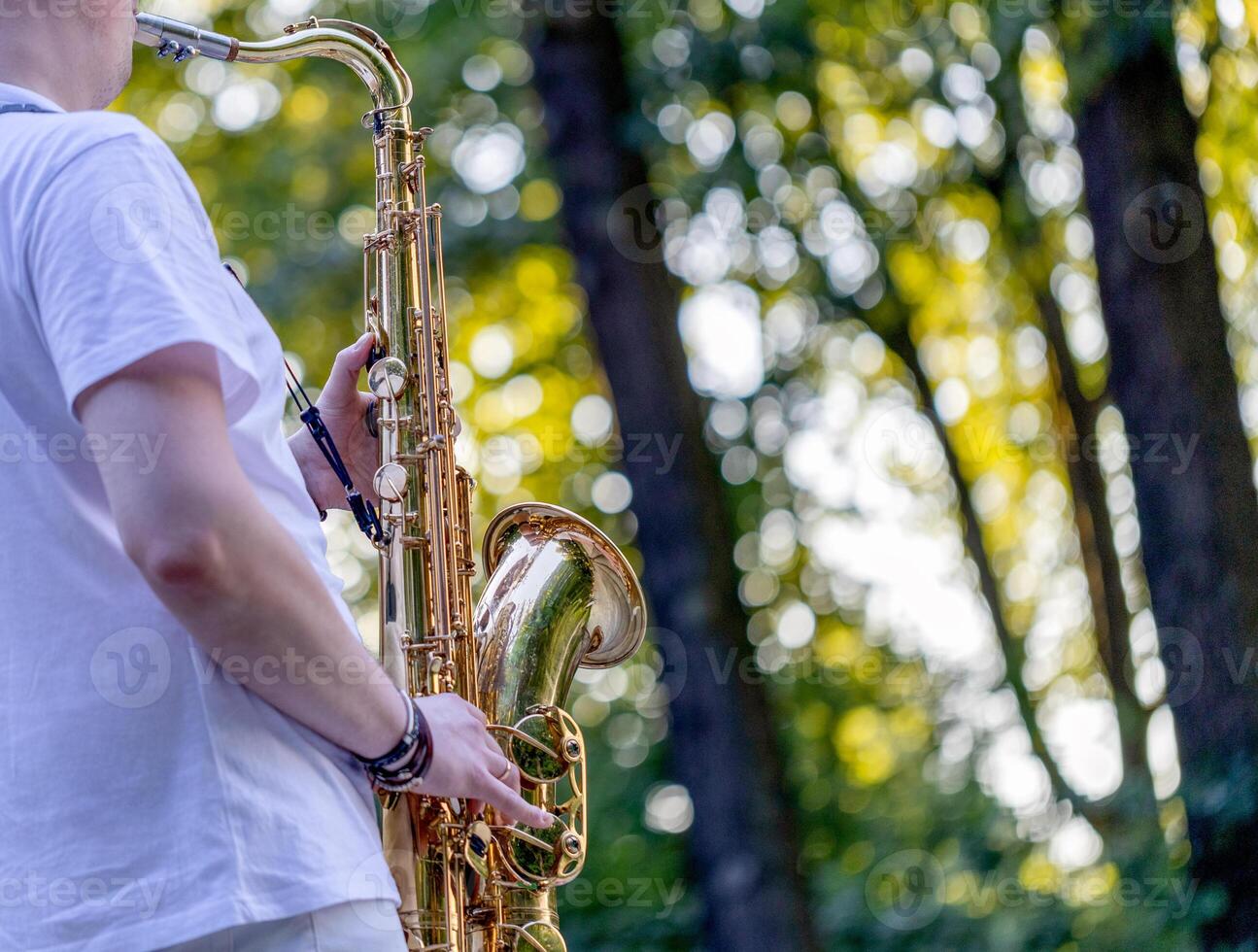 person playing the saxophone in city park, Street musicians photo