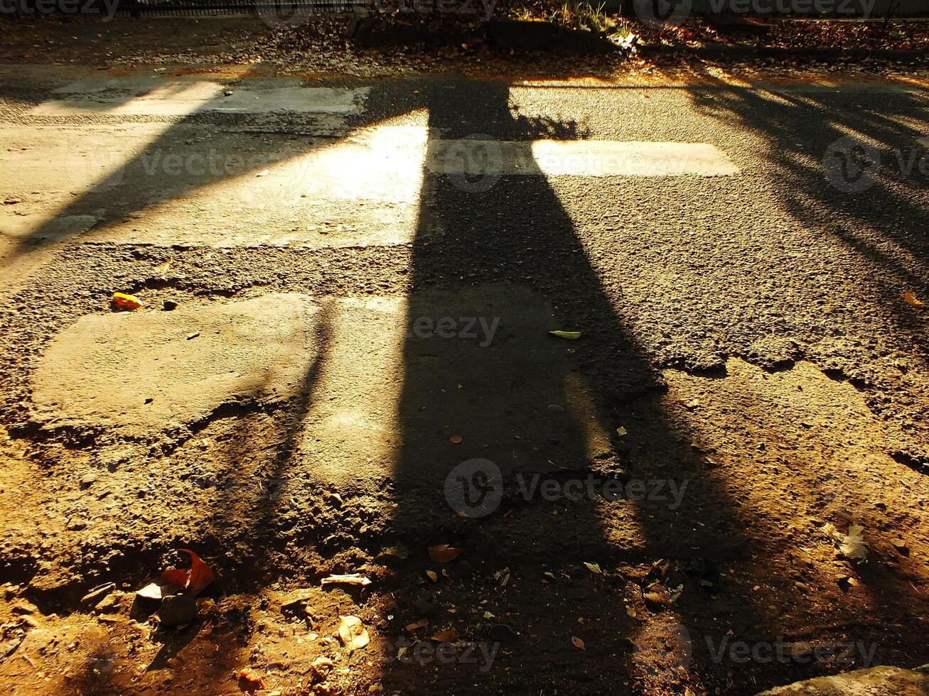 The cross shadow of a large tree appeared on the broken asphalt road. The shadows are large and dark. The road was covered by leaves and has many cracks photo